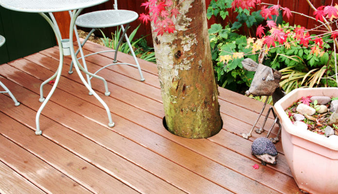 Zero maintenance decking was moulded around the tree trunk on this granny annexe decking